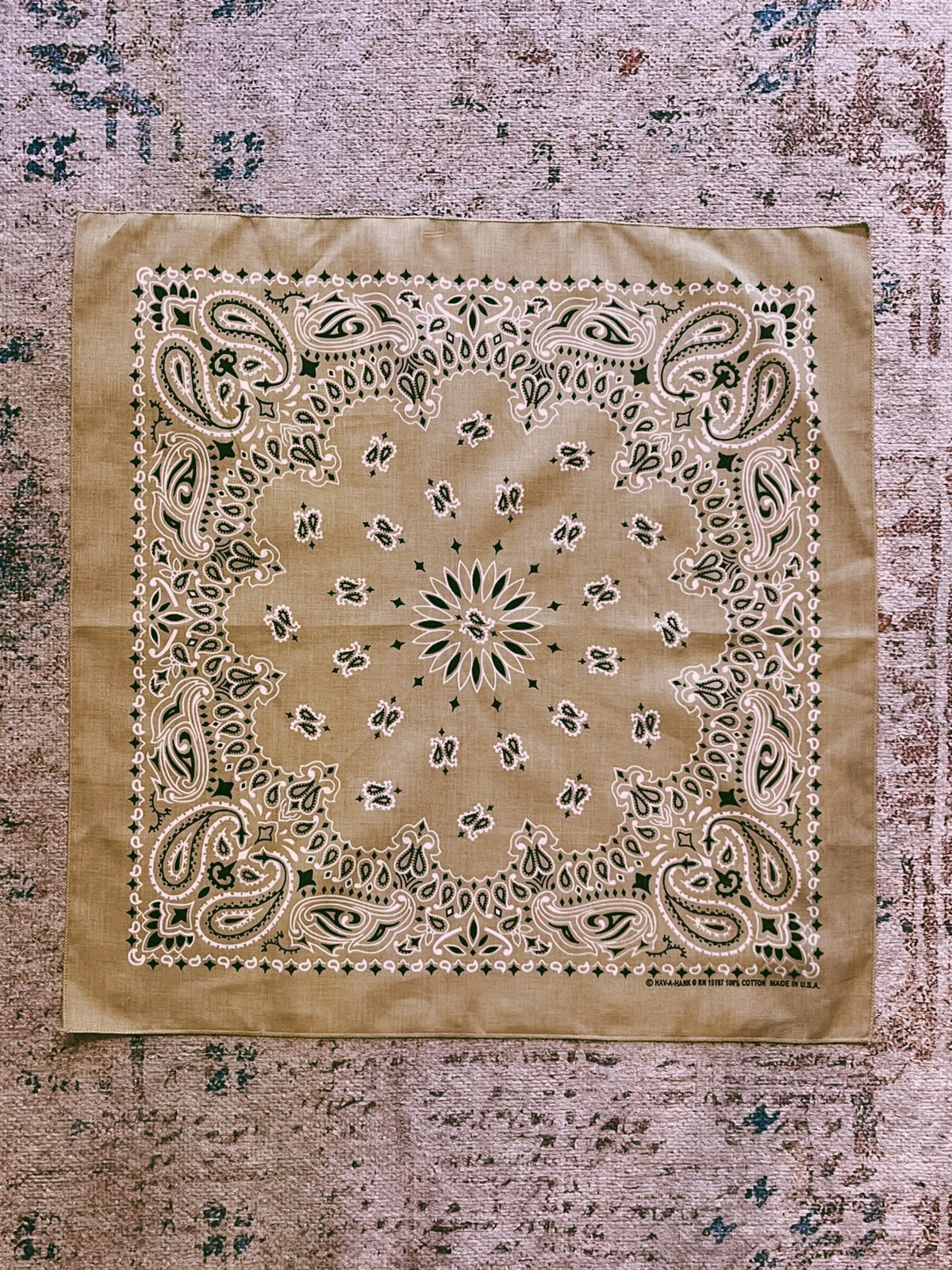 Vintage Paisley Bandana | Sage Green
