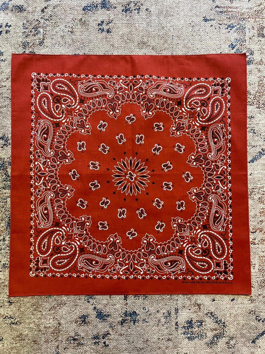 Vintage Paisley Bandana | Burnt Red