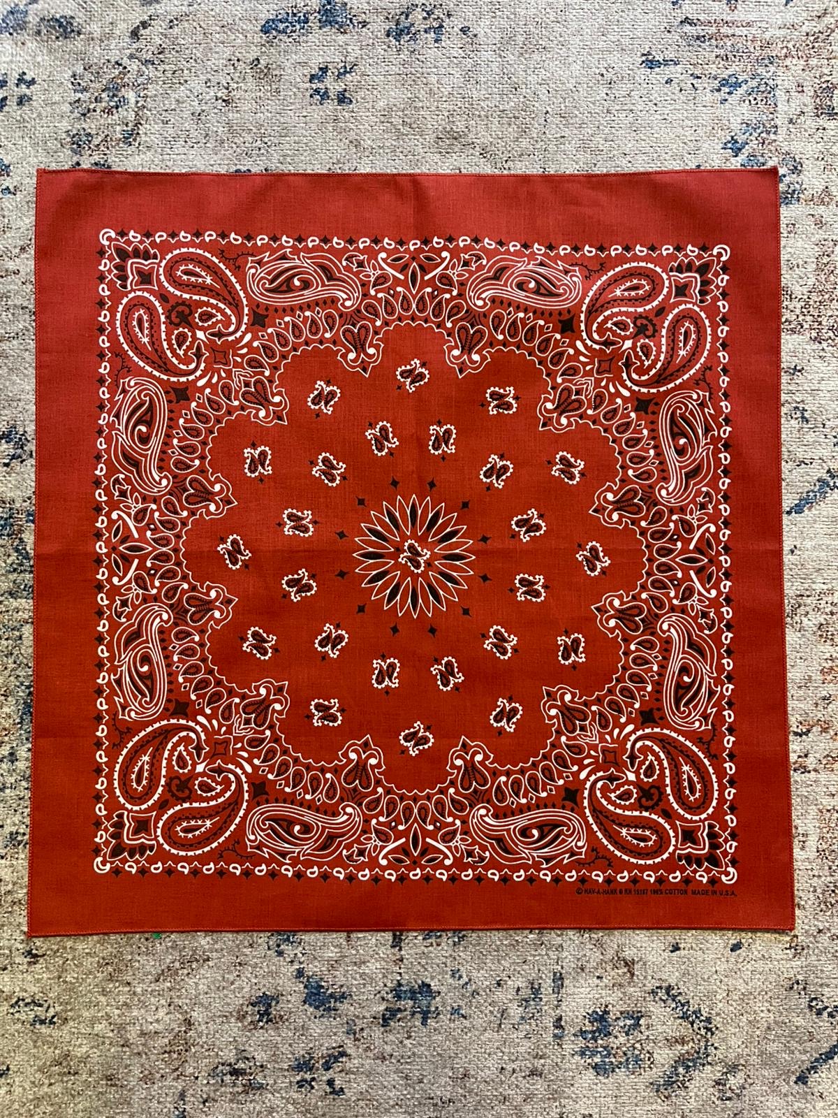 Vintage Paisley Bandana | Burnt Red
